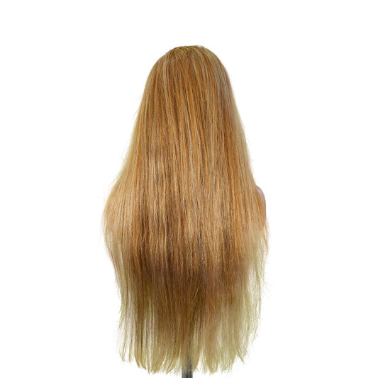 Benetress 13x4 Straight Lace Front Wig 8&27 Honey Blonde Highlight 26 Inch Remy Hair