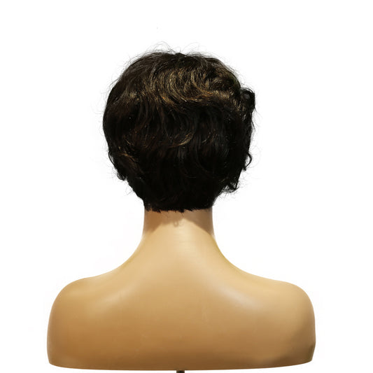 Machine-Made Remy Hair Wig – Natural Black – TC041