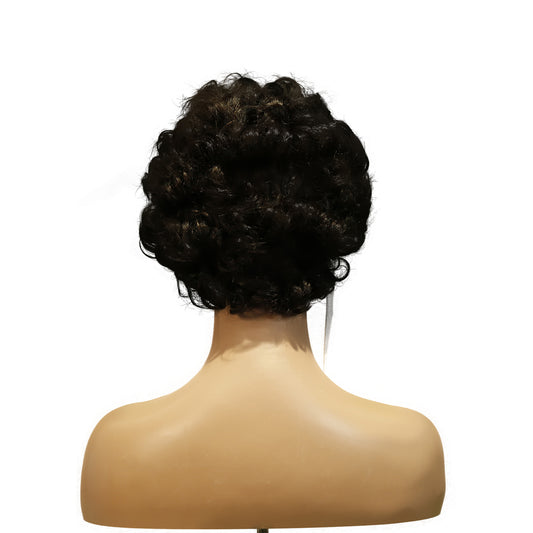 Machine-Made Remy Hair Wig – Natural Black – TC064