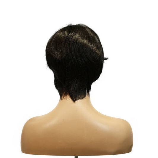 Machine-Made Remy Hair Wig – Natural Black – H081