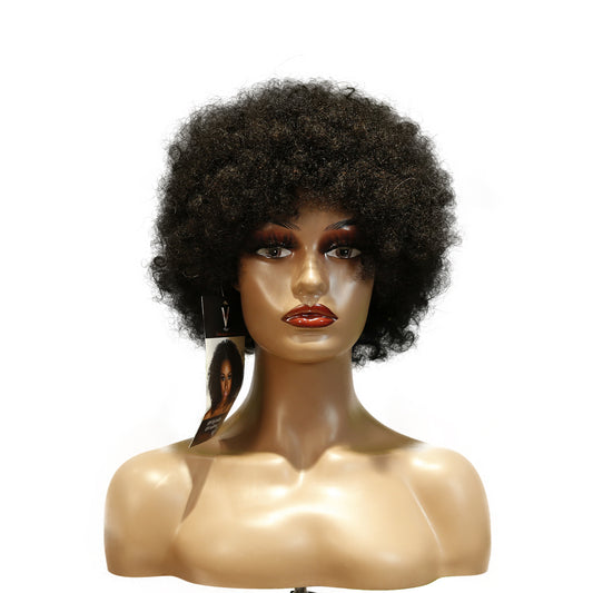 Machine-Made Remy Hair Wig – Natural Black – TC010