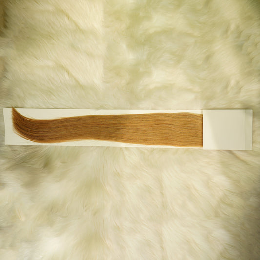 Benetress Asian Raw Hair #27 Straight Hair Extensions