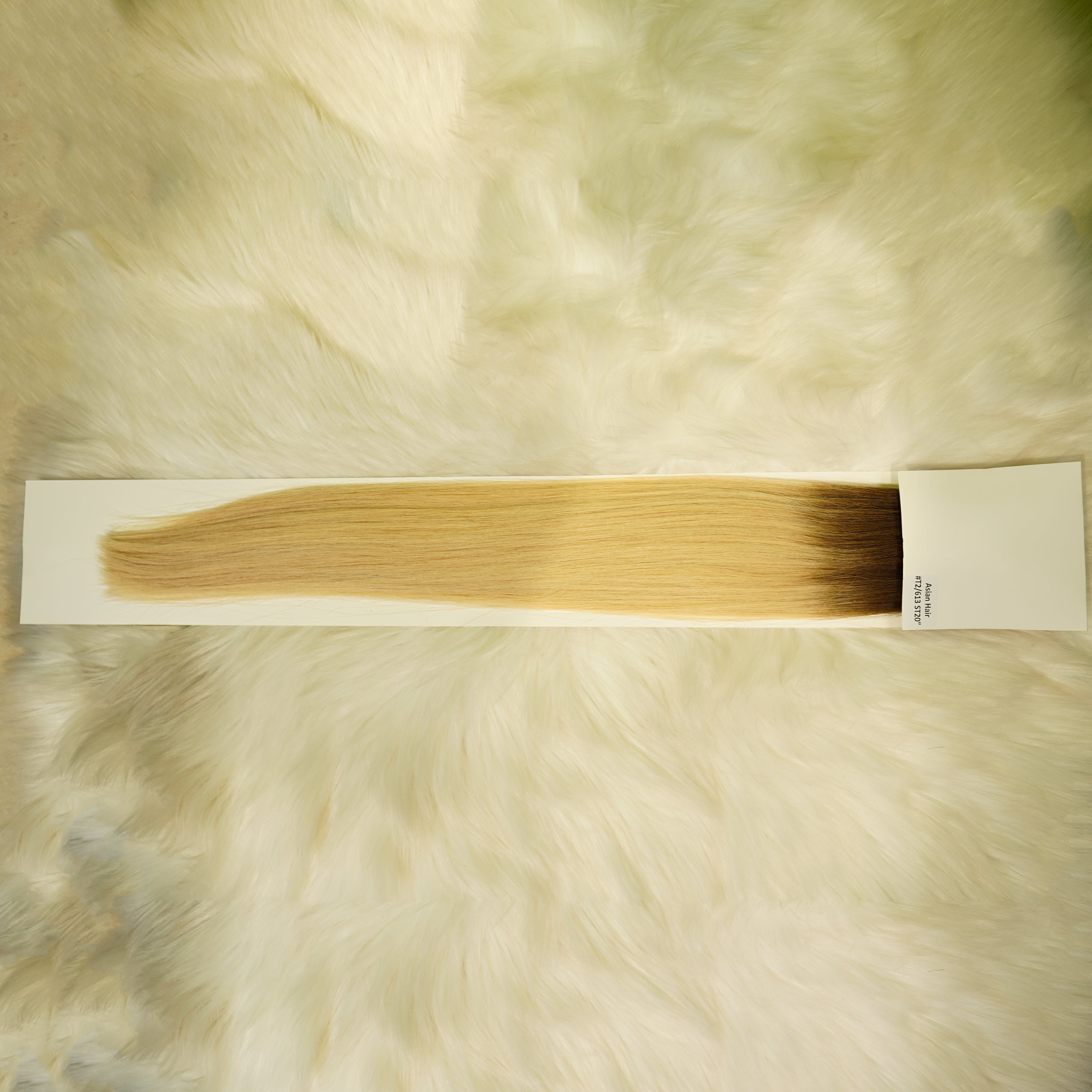 Benetress Asian Raw Hair #T2/613 Straight Hair Extensions